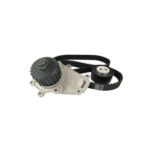 Kamremsats med vattenpump Lombardini DCI HDI